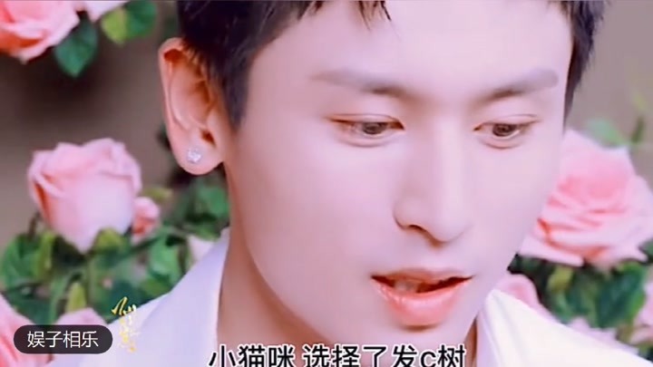 2024新奥天天免费资料,详细数据解读_CTK87.428视频版