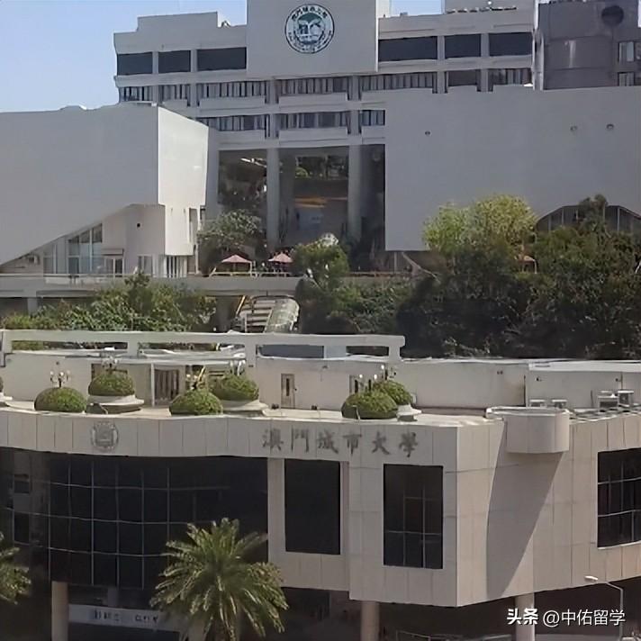 2024澳门正版传真,高效运行支持_RNN57.482精选版