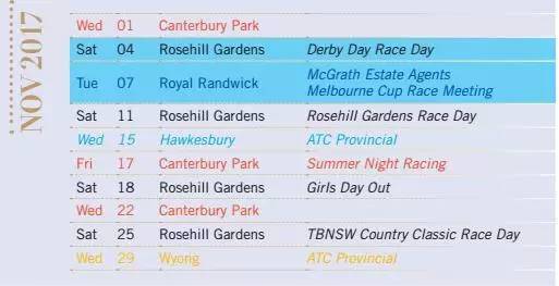 新澳资料最准的网站完整版,方案优化实施_PLW57.833风尚版