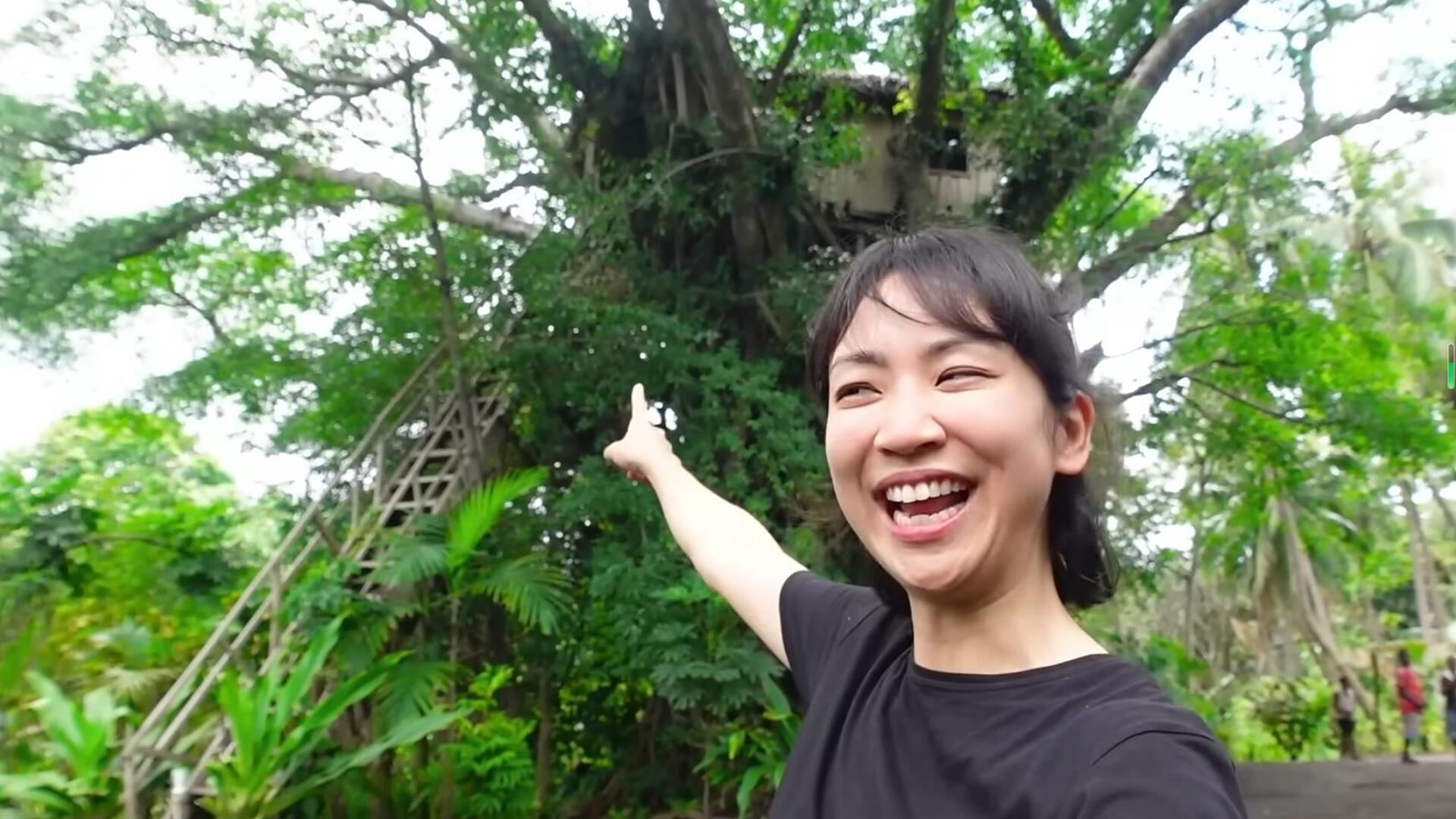 部落探险最新破解版，违法行为的警示与网络安全风险