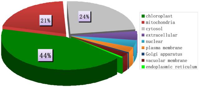 0149004.cσm查询,澳彩资料,精细化方案决策_WOO57.925户外版