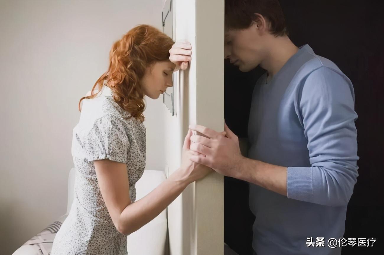 洪兰教授最新讲座视频，科技前沿对话重塑未来蓝图