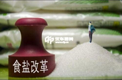 食盐改革最新动态,适应新变化,完成相关任务指南
