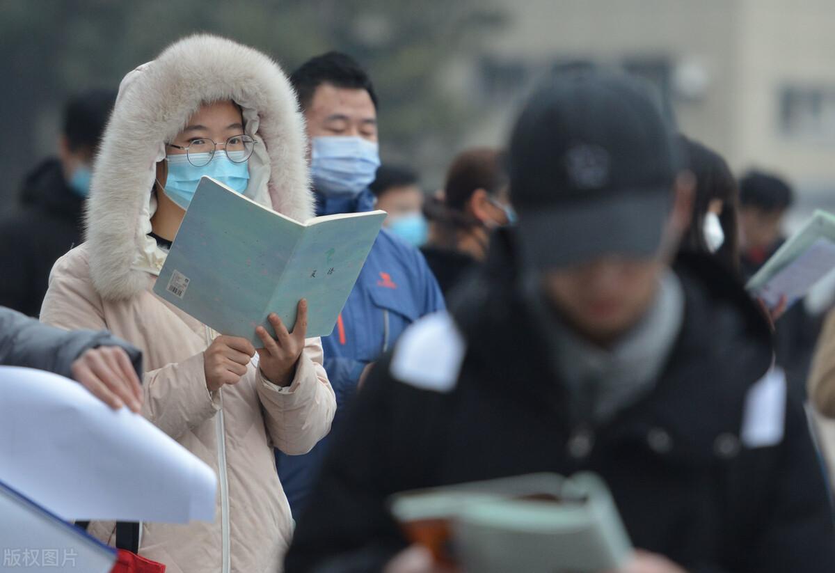 考研政策最新动态，探索自然美景的心灵之旅启程