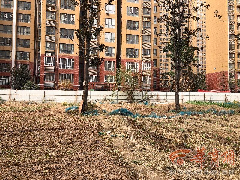 香槟国际城最新房价揭秘，科技重塑居住梦想，未来生活新篇章体验