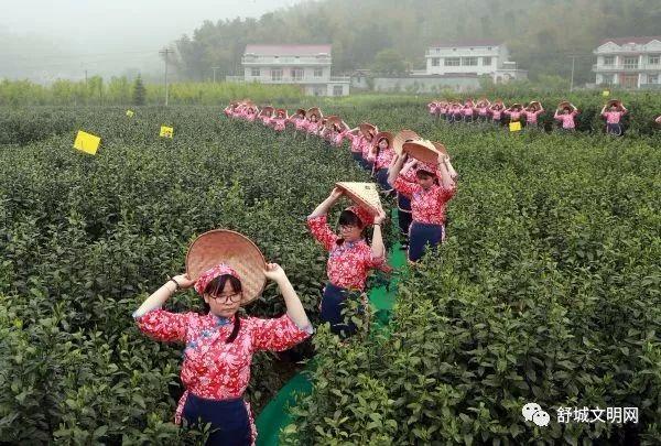 舒城环湖公路建设进展、最新报道及未来展望