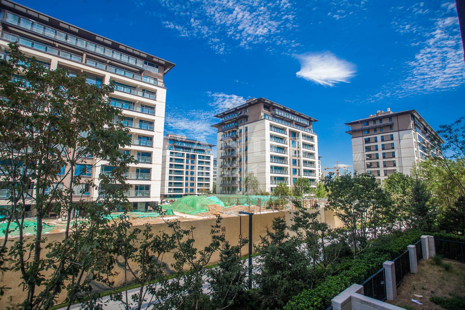 石家庄如园最新房价概览与动态分析