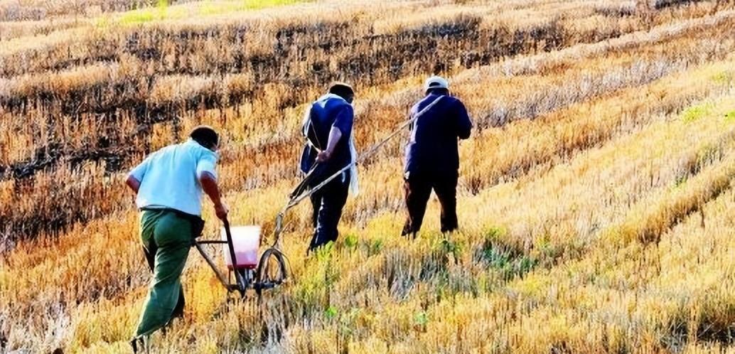 警察被打死最新消息,震惊事件背后的真相揭秘