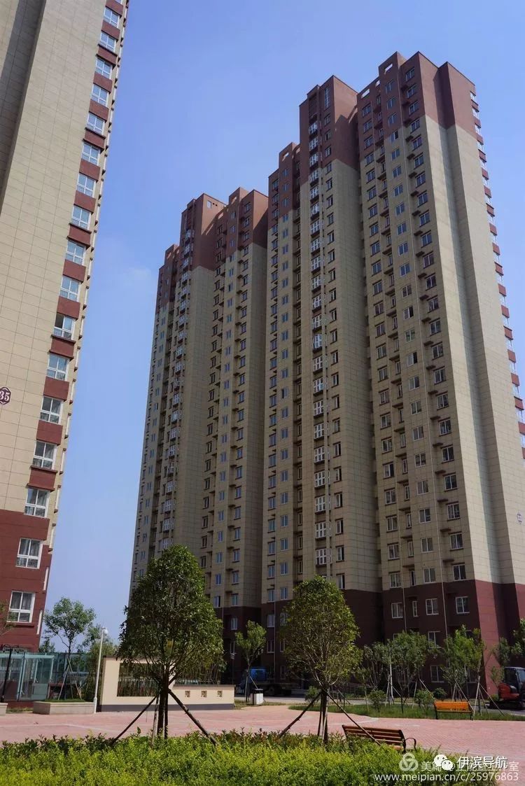 伊滨区最新安置政策揭秘,崭新篇章与小巷风情的交融共生