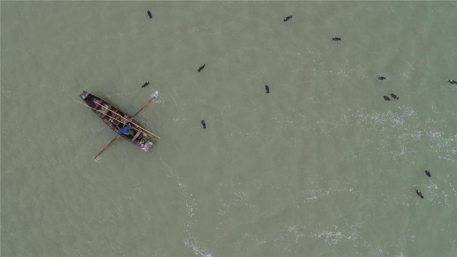 袁国圣最新动态解析,全面解读与观点阐述