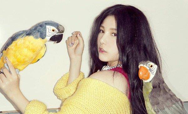 本兮最新歌曲发布,音乐新星再次闪耀的时刻!