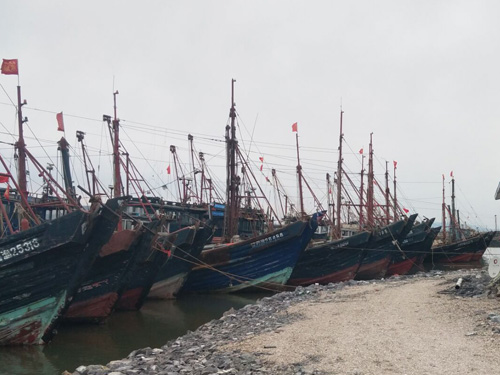 渔船柴油补贴最新动态，最新消息一览✨