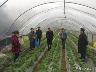 天府新区三星镇任务完成与技能学习指南,初学者到进阶用户的进阶之路