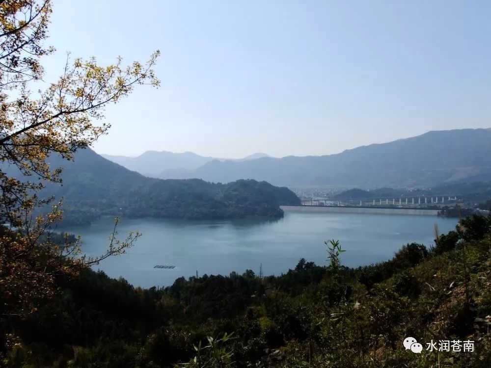 温州南岸水库最新动态更新，最新消息汇总