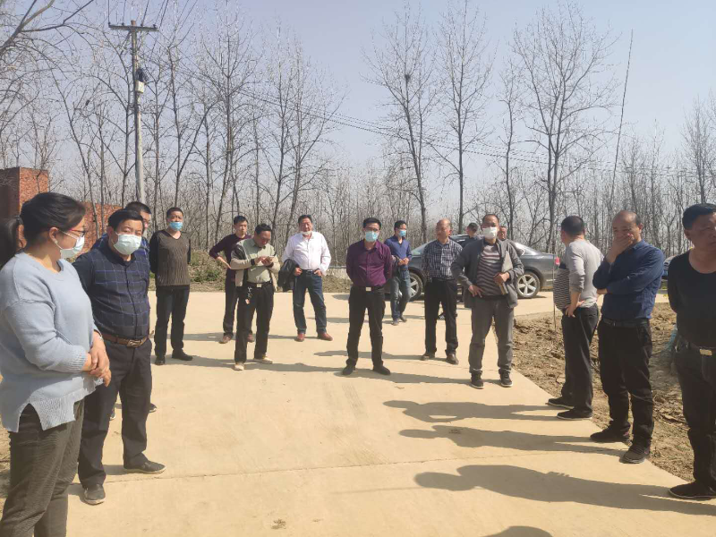 霍邱县长集镇最新动态,霍邱县长集镇最新动态,观点阐述与分析