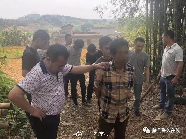 藤县大黎斗殴事件最新报道,科技应用引领智能安防新时代