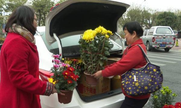 江门东汇城最新动态,城市崛起与蜕变的见证者