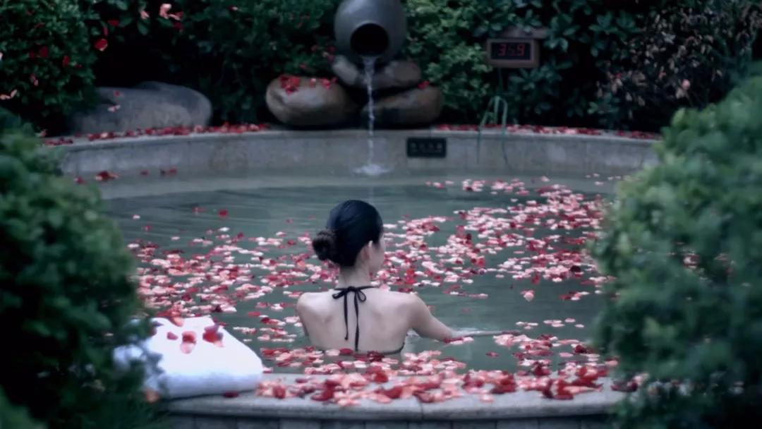 新澳2024正版资料免费公开,目前现象解析描述_便携版40.302