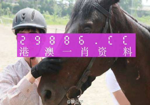 新澳门一肖一码中恃,具象化表达解说_影音体验版17.226
