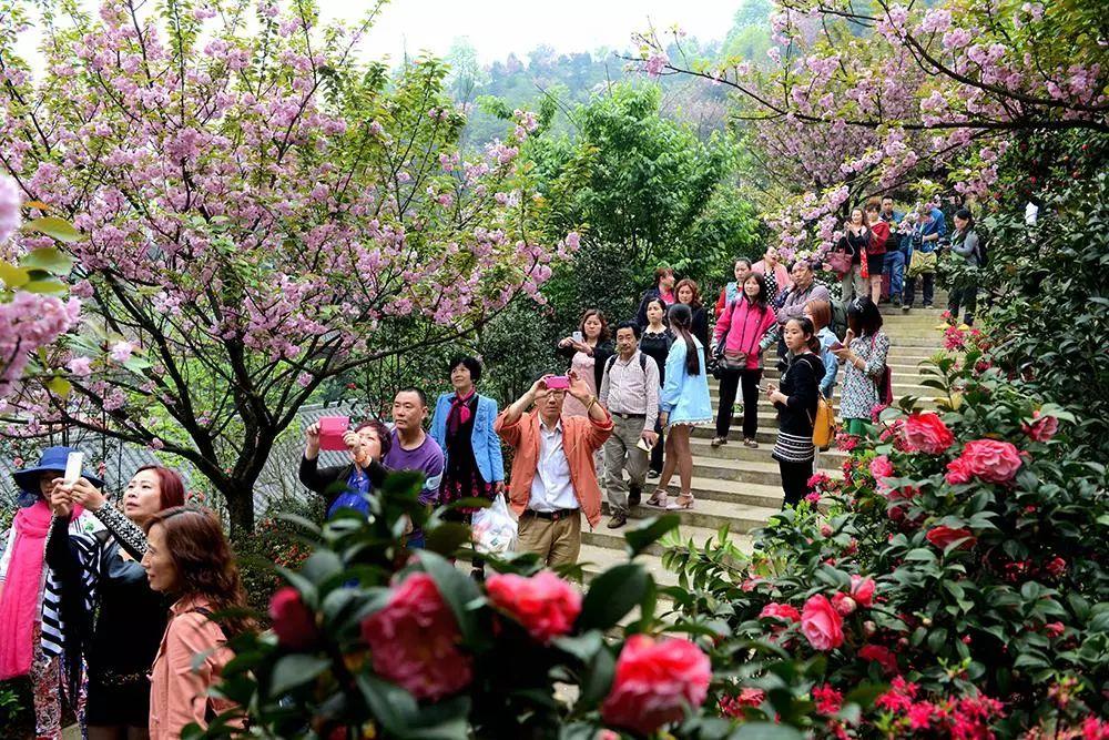 宜宾和都国际科技前沿产品引领未来生活最新消息揭秘