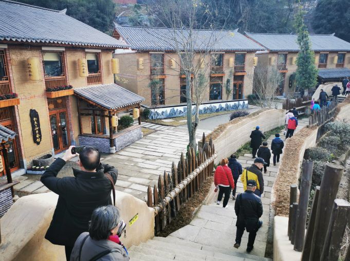 向家汇桃花岛科技之旅,智能海岛生活的未来体验