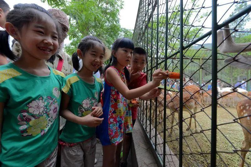 兰州动物园最新规划图,变化、自信与未来的碰撞展望