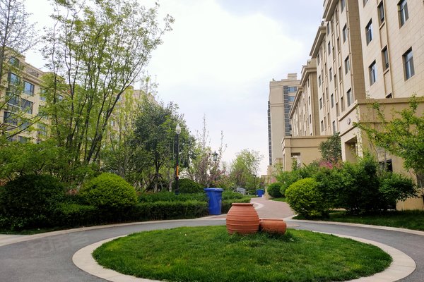 恒信玫瑰公馆最新动态，自然美景的探索之旅，寻找内心的宁静与喜悦