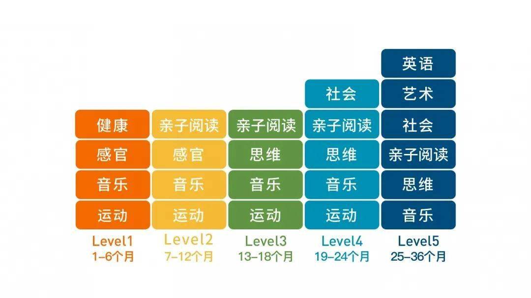 2024新澳门天天开好彩,高效性设计规划_外观版26.896