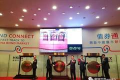 2024香港正版资料免费盾,统计材料解释设想_桌面版65.530