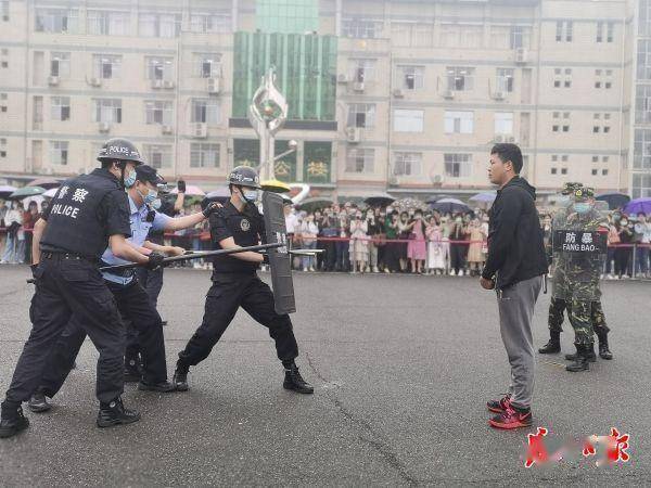 汽车销售 第295页