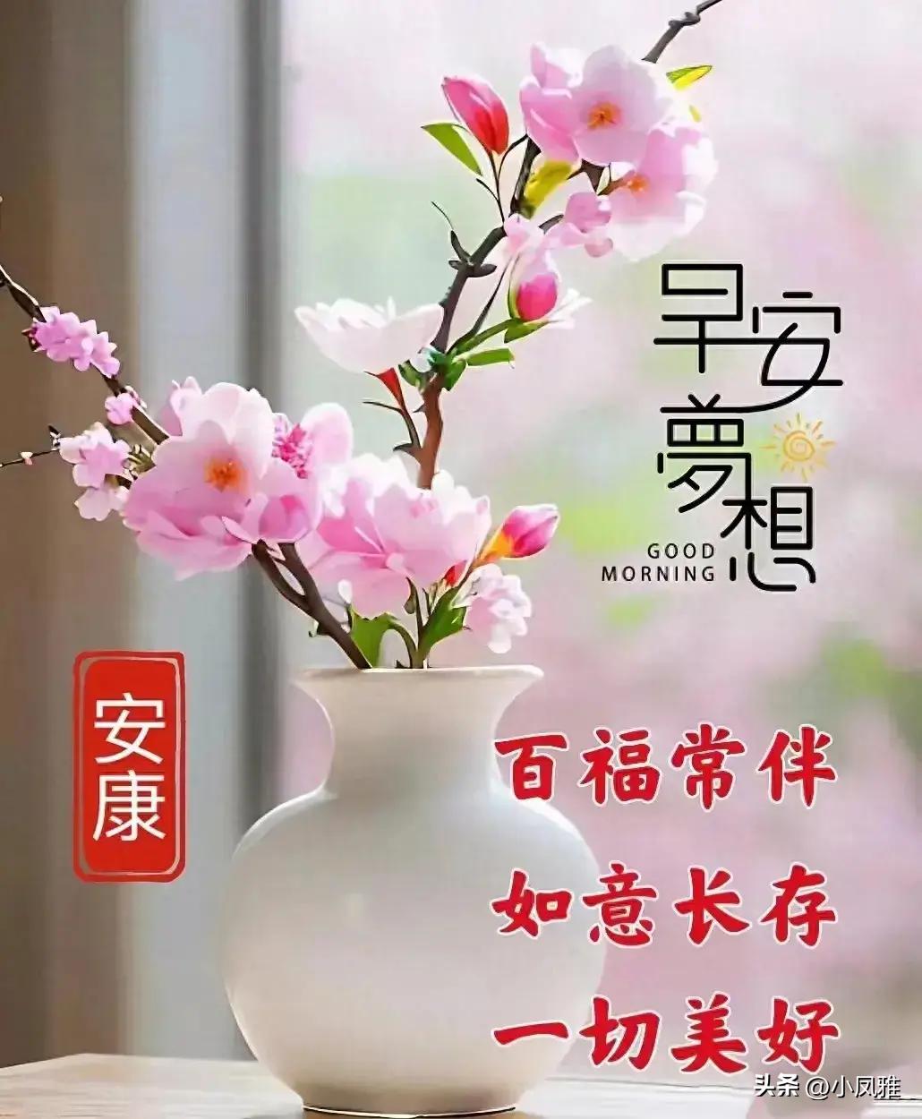2024天天彩全年免费资料,最新研究解读_光辉版34.312