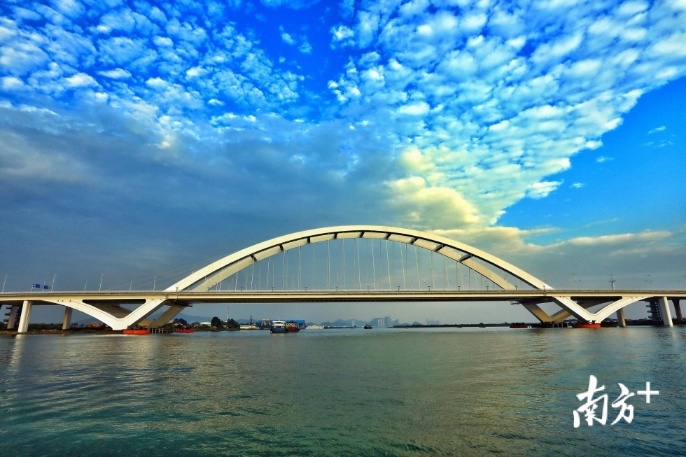 南沙区凤凰桥夏日奇遇,最新消息全面更新