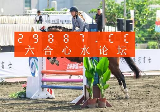 2024年澳门天天开好彩,实地研究解答协助_智慧版19.893