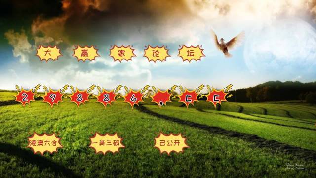 汽车销售 第257页
