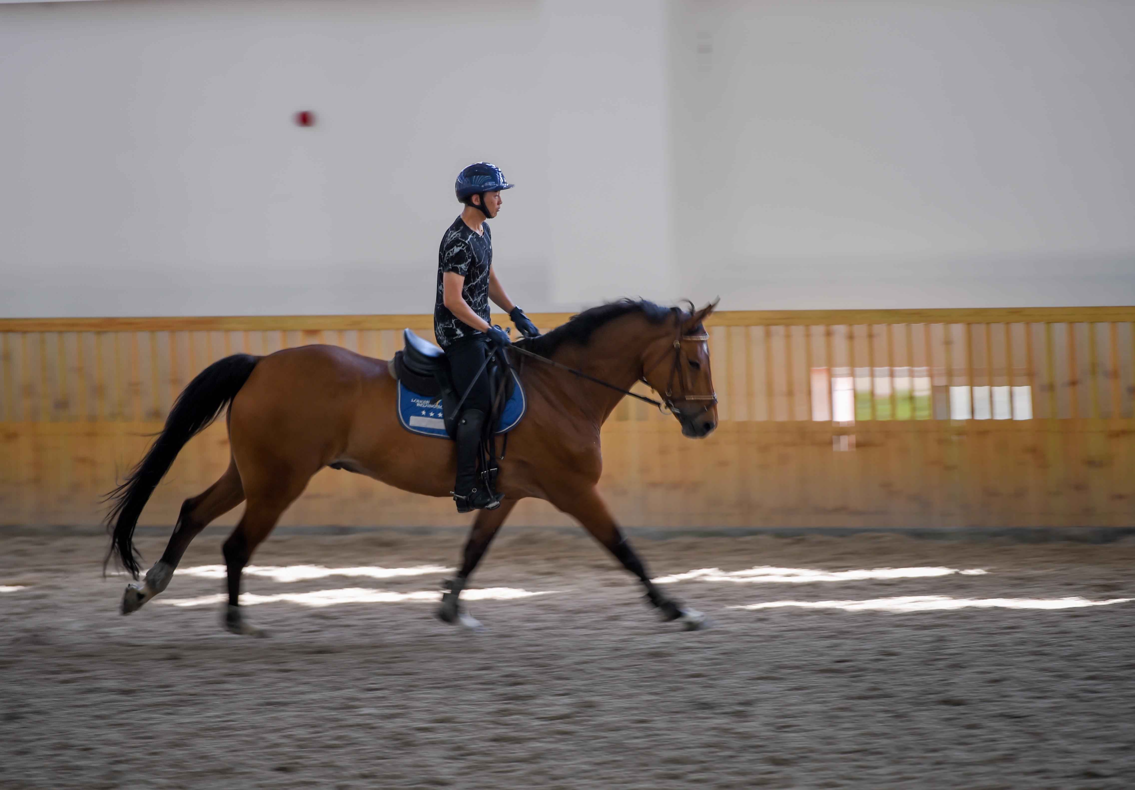 内蒙疫情最新动态,警惕与应对并行的内蒙古疫情🌟