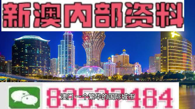 2024新澳精准正版资料,精细化实施分析_明亮版30.197