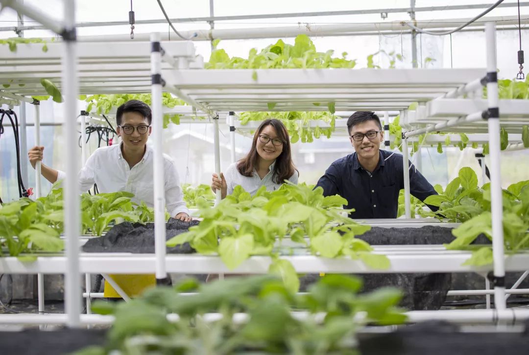 2024澳门天天开好彩大全46期,农业机械化与电气化_豪华款2.683