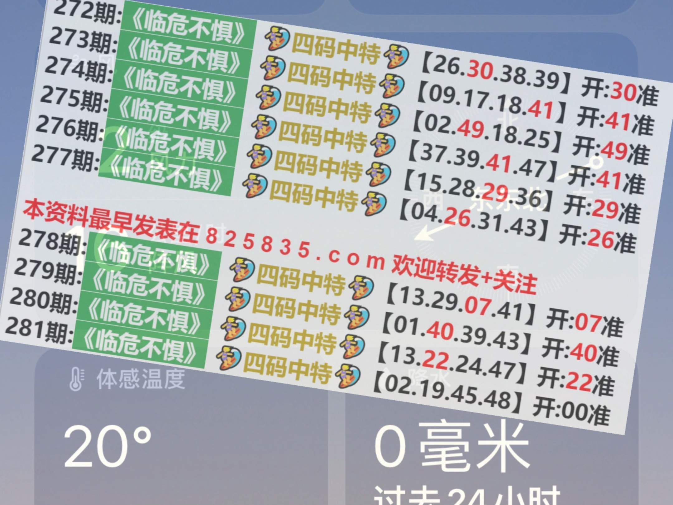 汽车装饰用品销售 第223页