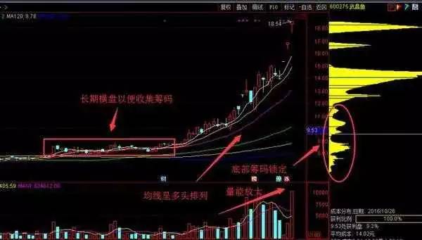 汽车零配件零售 第222页