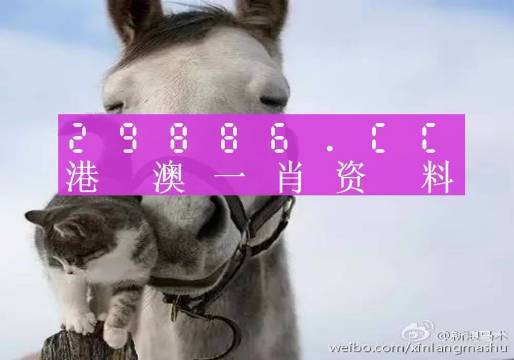 汽车销售服务 第228页
