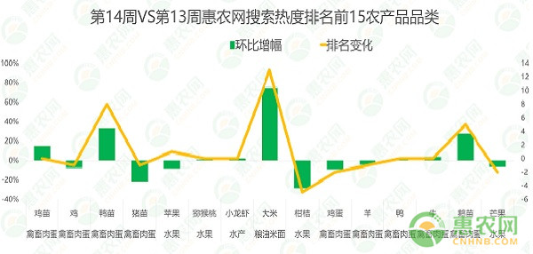 农产品市场行情分析与解读步骤指南，洞悉市场动态，洞悉未来趋势