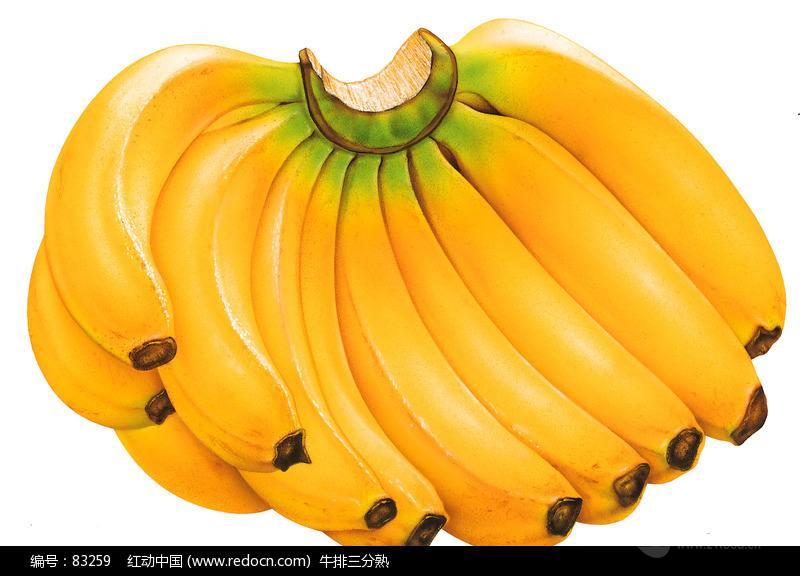 最新香蕉价格行情动态更新